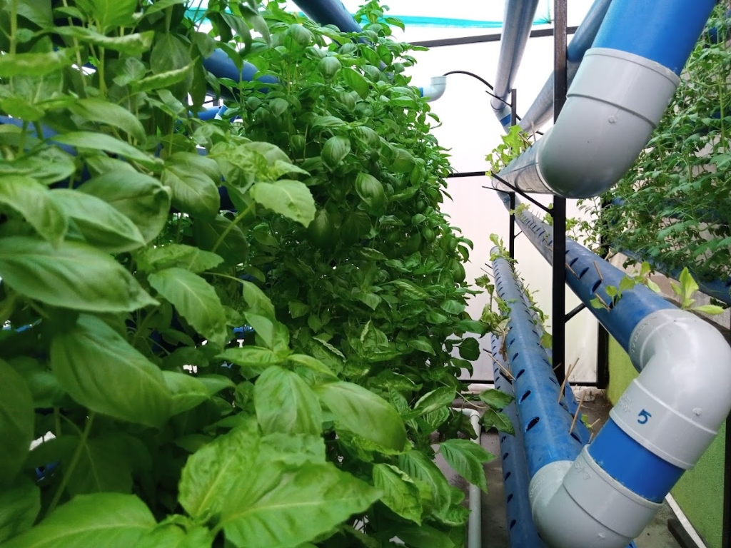 NFT Hydroponics