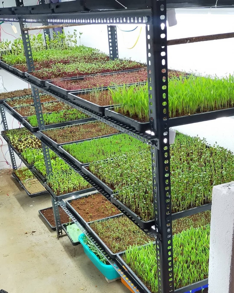 Vertical Nurseries